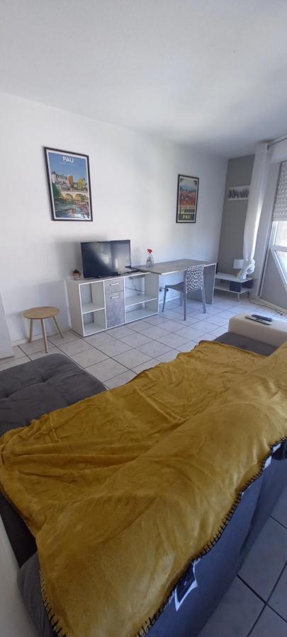 Apartmán Le Petit Loup Palois - Terrasse & Wifi Fibre Pau Exteriér fotografie